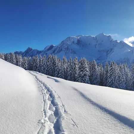 Le Flocon A * Saint-Gervais-les-Bains