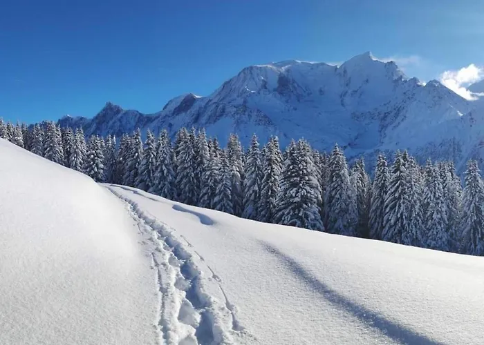 Le Flocon A * Saint-Gervais-les-Bains